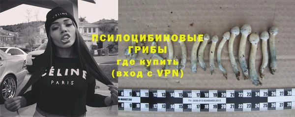 ПСИЛОЦИБИНОВЫЕ ГРИБЫ Калининец