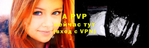 ПСИЛОЦИБИНОВЫЕ ГРИБЫ Калининец
