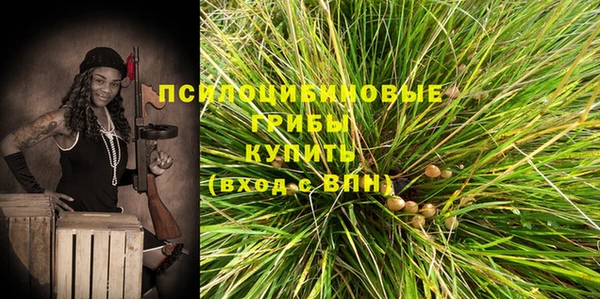 ПСИЛОЦИБИНОВЫЕ ГРИБЫ Калининец