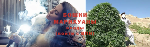 ПСИЛОЦИБИНОВЫЕ ГРИБЫ Калининец